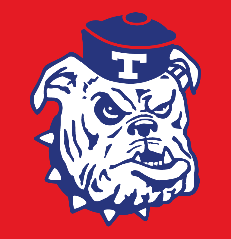 Louisiana Tech Bulldogs 1966-1978 Alternate Logo diy fabric transfer